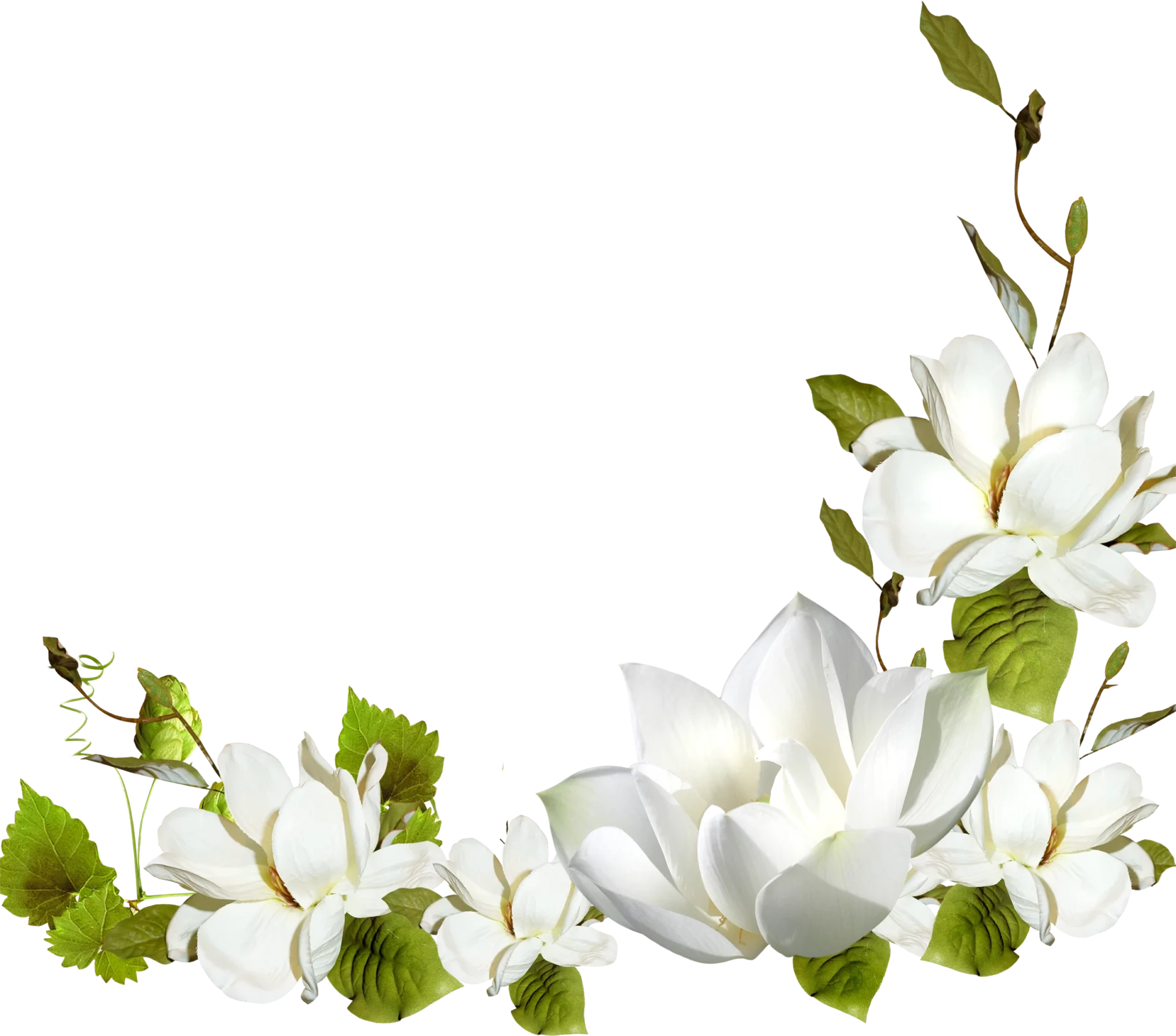 Lete Indien Livraison De Fleurs Saint Laurent Du Var 1